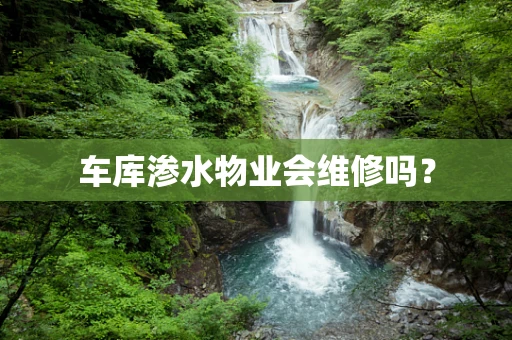 车库渗水物业会维修吗？