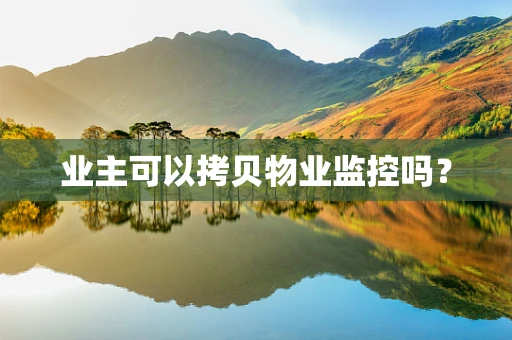 业主可以拷贝物业监控吗？
