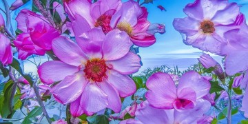 临沂文创园有物业招聘吗？