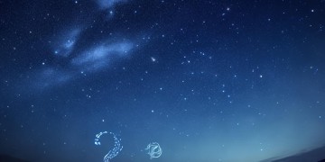 星星豪都物业可靠吗？