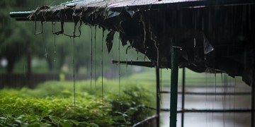 雨棚被打烂物业要负责吗？