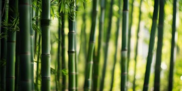 合川竹园物业靠谱吗？